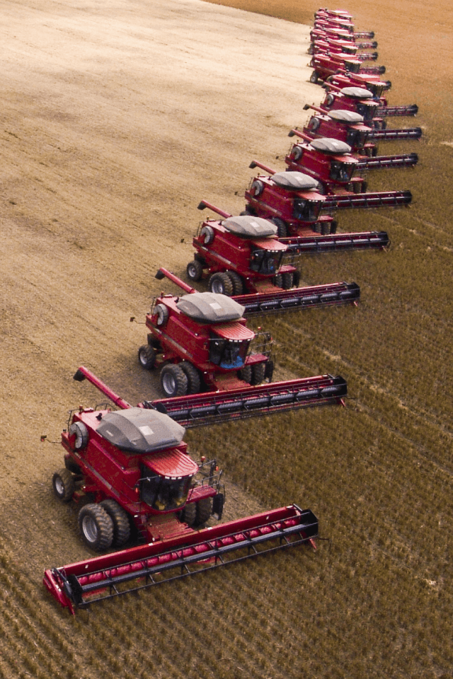 A row of combines in a grain field